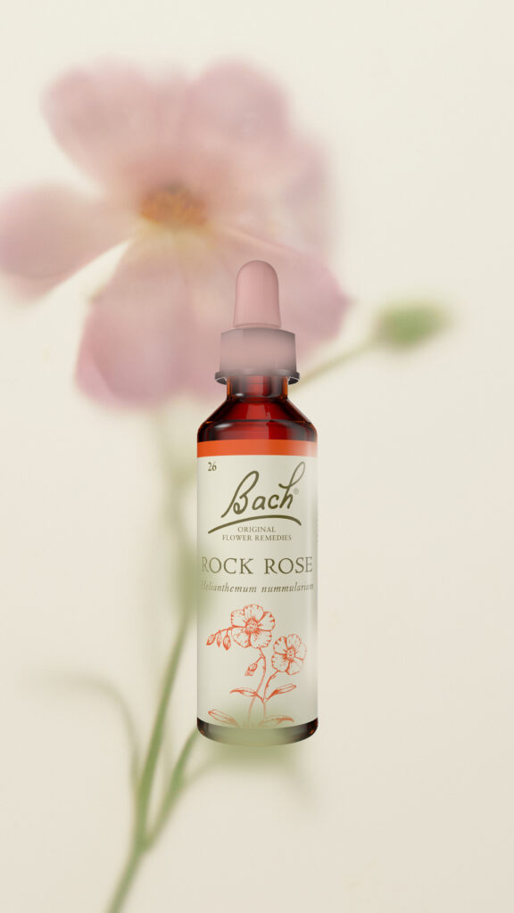 Bachova květová esence Rock Rose